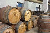 La Vendimia Bobal Harvest Experience in Requena
