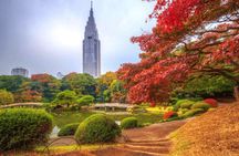 Tokyo Shinjuku Guided Walking Tour with Gyoen Garden Ticket