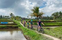 Ubud All-Inclusive Downhill Cycling Private Tour with Volcano