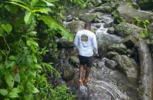 All Inclusive Dominica Majestic Exploration Small Group Tour