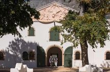 Private Full Day Tour Robben Island Kirstenbosch and Wine Tasting