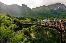 Private Full Day Tour Robben Island Kirstenbosch and Wine Tasting