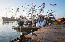 The Coastal Odyssey : Essaouira Day Trip from Marrakech