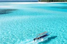 Zanzibar Dolphin Snorkeling Turtle and Kendwa Sunset
