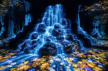 Tokyo Private Tour: teamLab Borderless & Imperial Palace