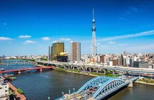 Tokyo Full Day private tour with English Guide