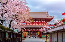 Tokyo Full Day private tour with English Guide
