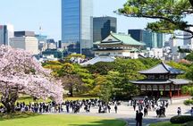 Tokyo Full Day private tour with English Guide