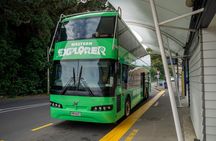 Waiheke Island Hop-On Hop-Off Explorer Bus