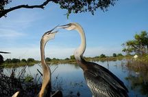 Full-Day Prek Toal Bird Sanctuary & Floating Village Private Tour