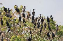 Full-Day Prek Toal Bird Sanctuary & Floating Village Private Tour