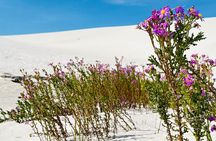 Quad Bike ATV Atlantis Dune Adventure