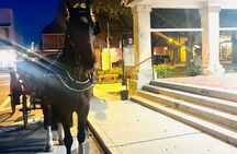 St Augustine Private Horse-Drawn Carriage Ghost Tour