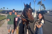 St Augustine Private Horse-Drawn Carriage Ghost Tour