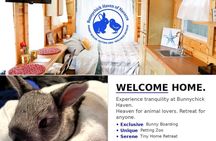 Private Rabbit and Chicken Petting Experience in Navarre