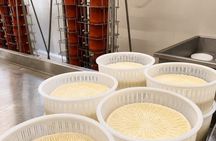 Cheese Factory Tour Wine Pairing