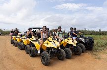Aruba UTV & ATV Tour: Animal Garden, North Coast & Andicuri Beach