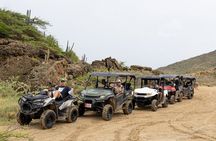 Aruba UTV & ATV Tour: Animal Garden, North Coast & Andicuri Beach