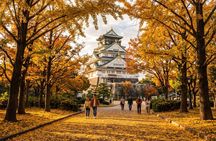 Osaka: Kuromon Market, Dotonbori & Castle Walking Tour