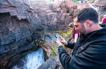 Bar Harbor Premium Tour with Cadillac Mountain and Acadia Park