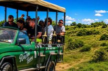 2 Day Schotia Safari Tour in Port Elizabeth