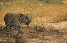 Sri Lanka Tailor Made Multi-Day Private Tour Packages