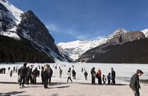 Banff Lake Louise and Emerald Lake Half Day Sightseeing Tour
