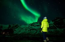 Tromsø: Northern Lights Minibus Chase with Photo Guide