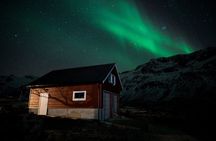 Tromsø: Northern Lights Minibus Chase with Photo Guide