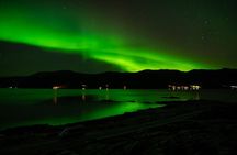 Tromsø: Northern Lights Minibus Chase with Photo Guide