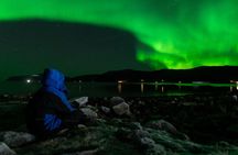 Tromsø: Northern Lights Minibus Chase with Photo Guide