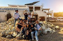 Full Day Tour to Tequila and Amatitán with Fun and Culture