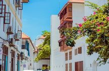 Full-Day Zanzibar Jozani Forest, Spice Farm and Stonetown Tour
