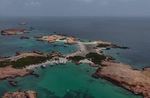 Dimaniyat Islands Turtle and Marine Life Snorkeling Adventure