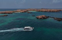 Dimaniyat Islands Turtle and Marine Life Snorkeling Adventure