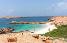 Dimaniyat Islands Turtle and Marine Life Snorkeling Adventure