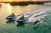 Dolphin Watching Jet Ski Tour in Fort Pierce