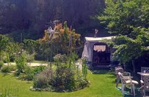 Corfu Swing Dance and Food Forest Experience