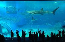 Cape Town Aquarium Farm and Chocolate Tour