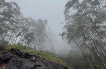 Kochi Private Munnar Day Tour