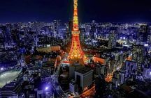 Full Day Tokyo Private Sightseeing City Tour