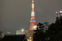 Full Day Tokyo Private Sightseeing City Tour