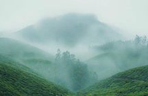 Kochi Private Munnar Day Tour