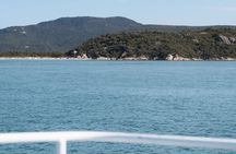 Melbourne: 6-hour Wilsons Prom Whale Watching