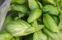 Pesto and Pasta Class in Vernazza, Cinque Terre