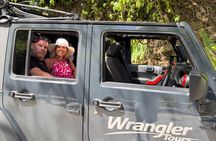 Half Day Private Tour in St. Lucia Jeep Wrangler