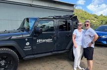 Half Day Private Tour in St. Lucia Jeep Wrangler