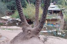 Private Half Day Tour to Paradise Valley from Agadir