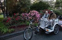 2 Hour Signature Victoria Pedicab Tour for 2-3 Guests