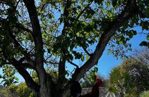 Historic Key West Bike Tour